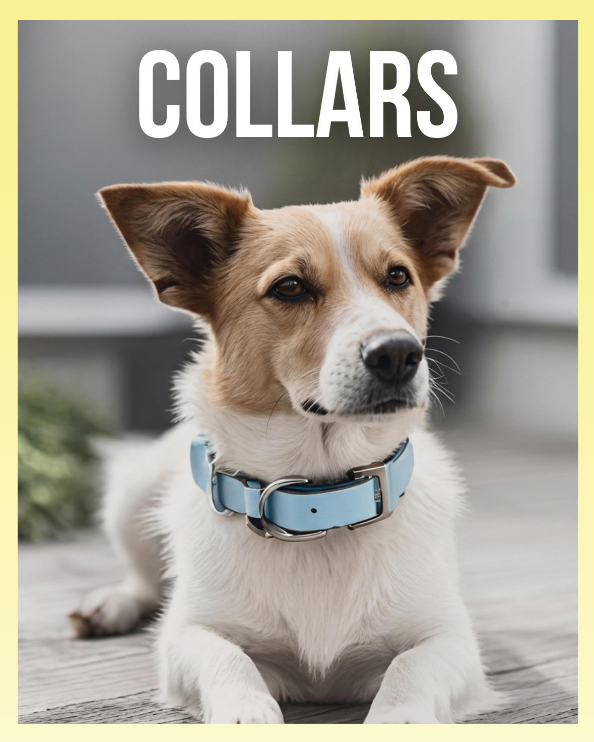 Collars