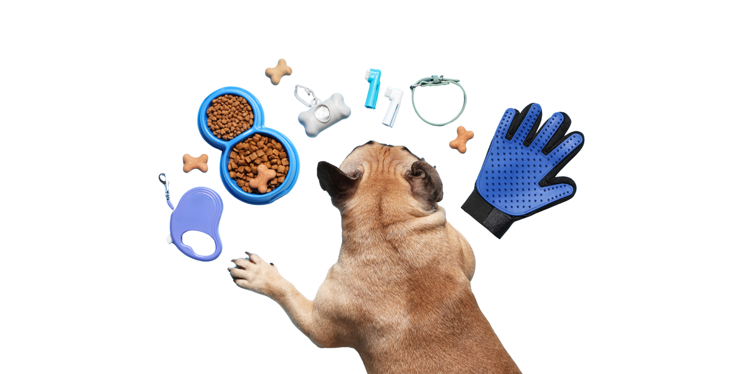 Dog Accessories