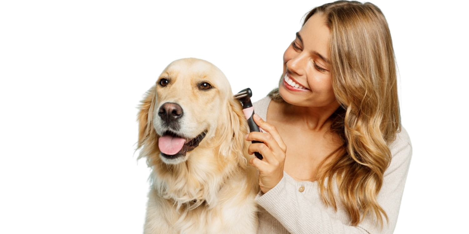 Dog Care