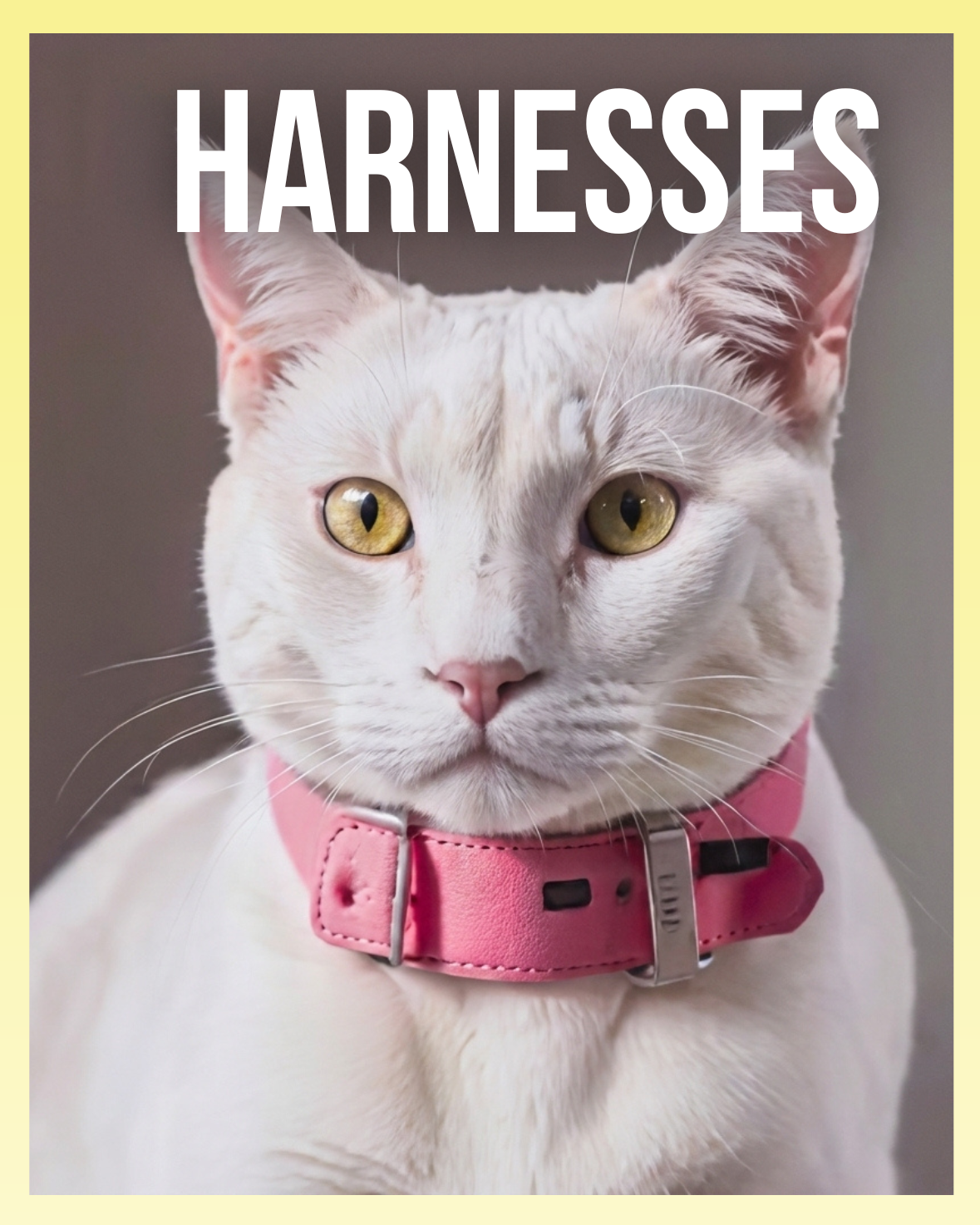Harnesses