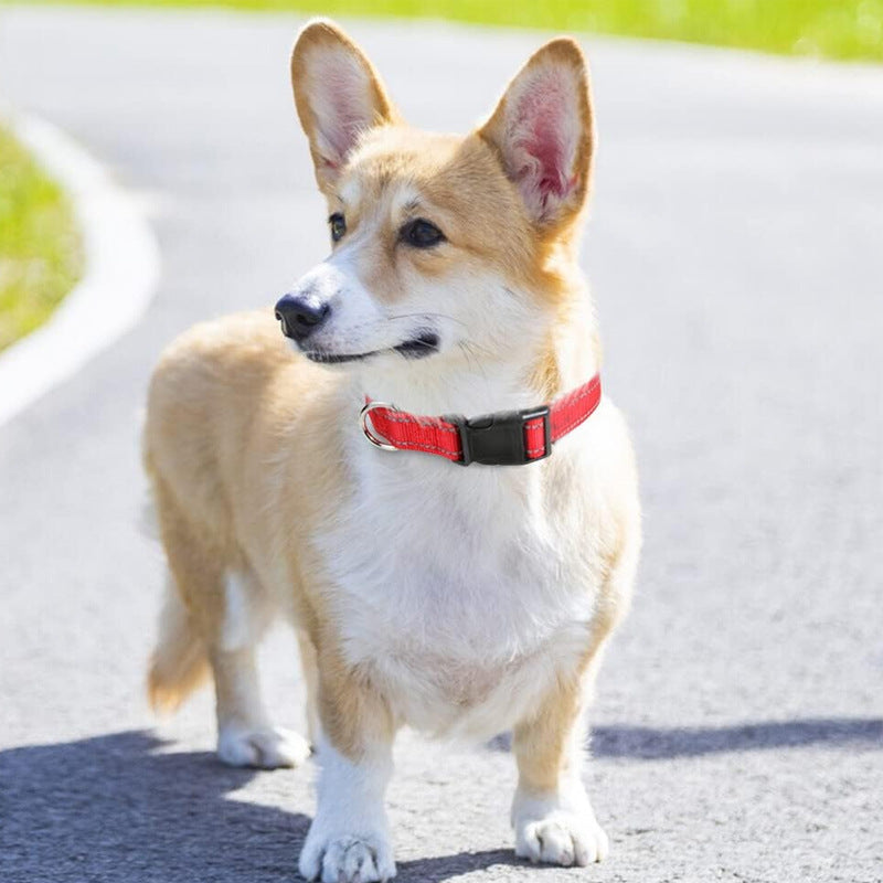 Adjustable Pet Collar