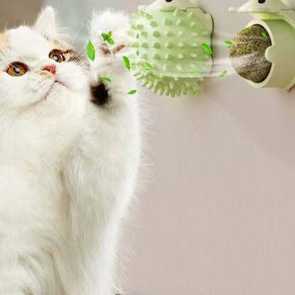 Cat toy dental care products