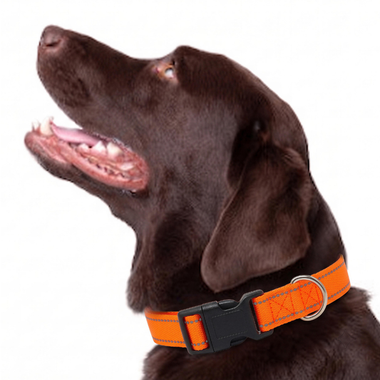 Adjustable Pet Collar for Dogs & Cats – Durable Polyester Collar with Secure Adjustable Buckle